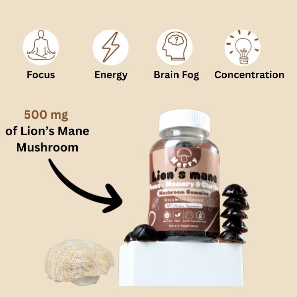 Focus | Lion's Mane Mushroom Gummies (60 count)